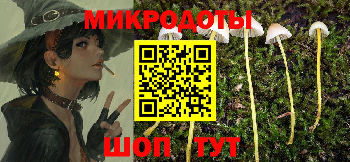 Галлюциногенные грибы Magic Shrooms Волгодонск
