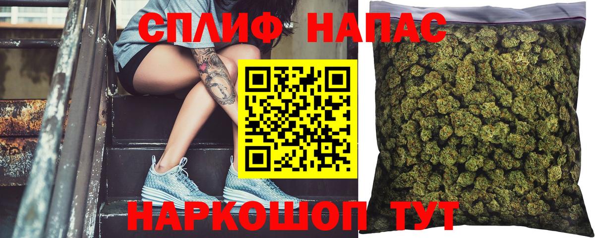Бошки марихуана тримм  Бошки Шишки White Widow  Вход с VPN  Волгодонск  Каннабис конопля 